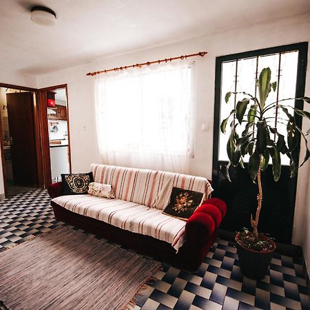 Casa Da Avo Rosa Lägenhet São Vicente Exteriör bild