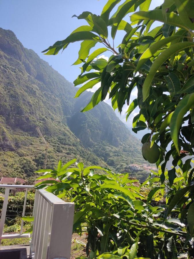 Casa Da Avo Rosa Lägenhet São Vicente Exteriör bild