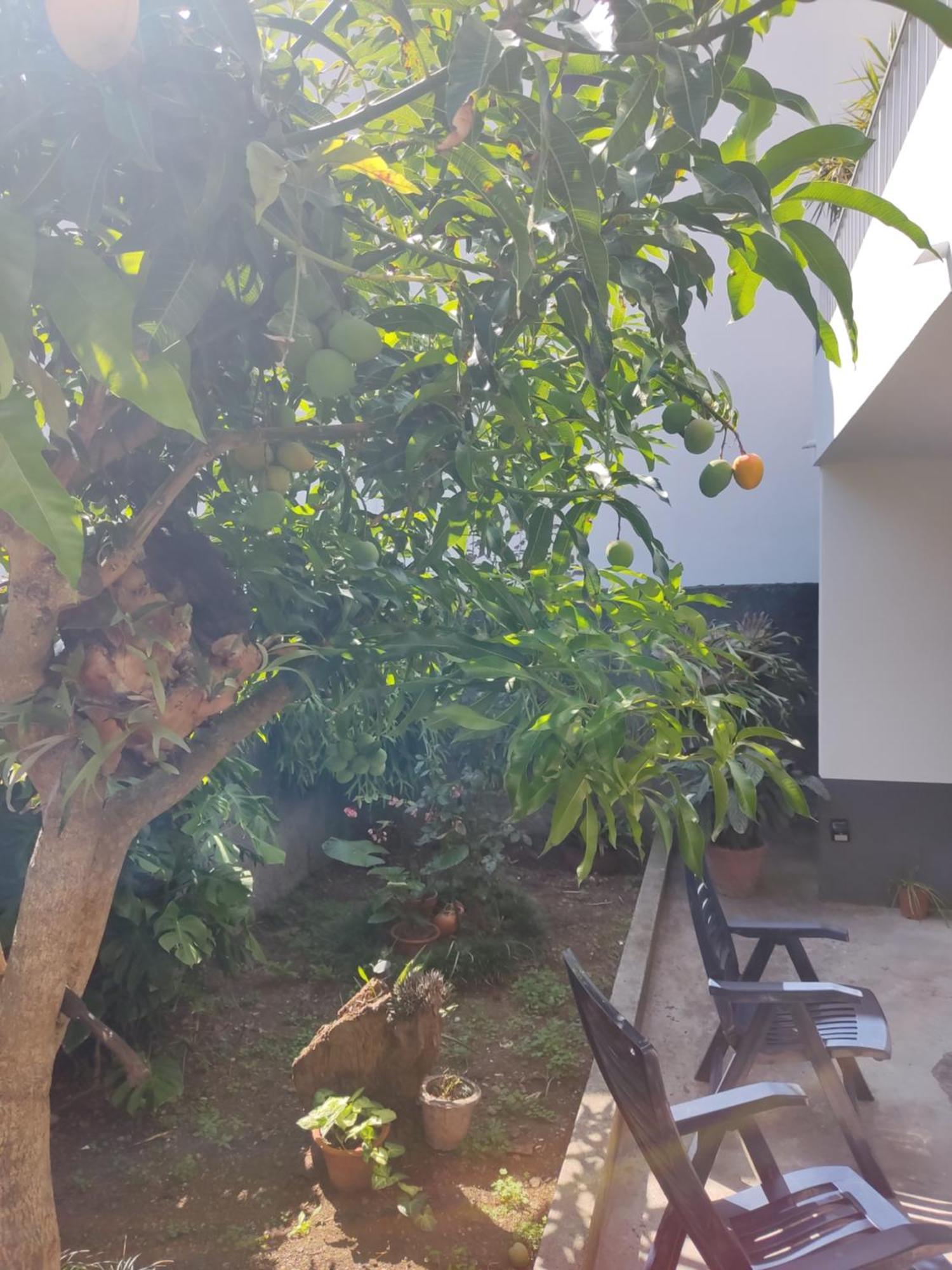 Casa Da Avo Rosa Lägenhet São Vicente Exteriör bild